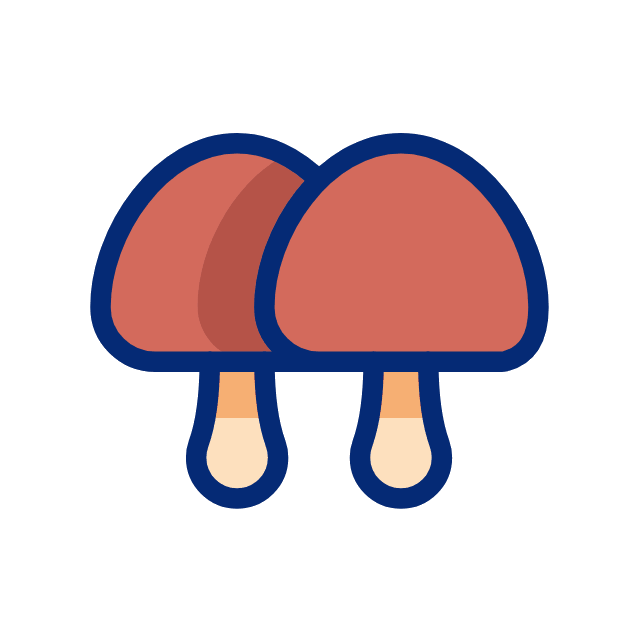 Champinon